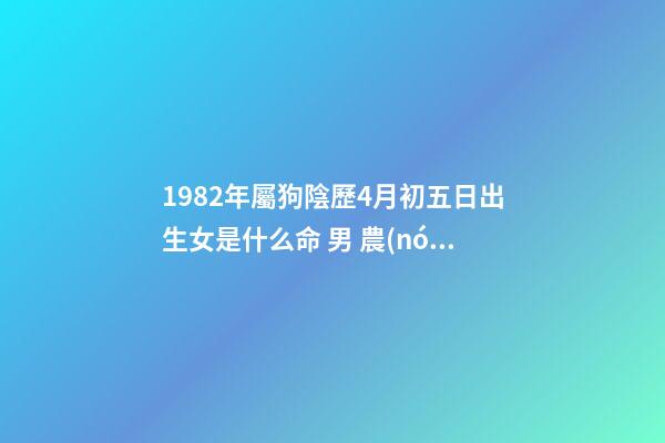 1982年屬狗陰歷4月初五日出生女是什么命 男 農(nóng)歷1982年4月初5早晨6點(diǎn)左右出生 算命